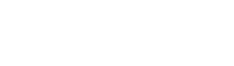 Levoy and Associates - Logo 800 White