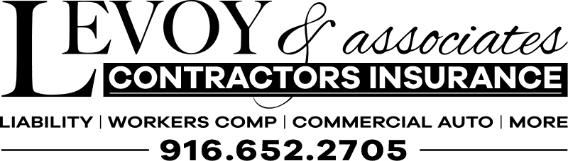 Levoy and Associates - Logo 800